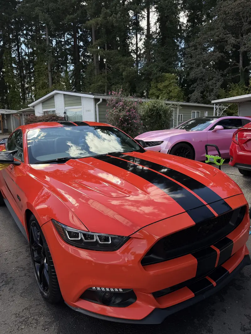 Exterior detailing Beaverton